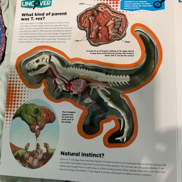 T-Rex book with model - Picture 4 of 5